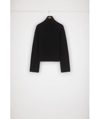 Rib knit turtleneck jumper in Merino wool Livraison rapide