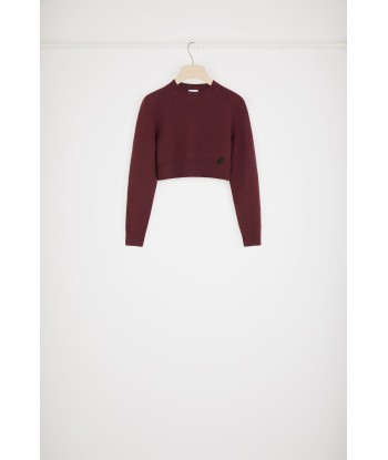 Cropped jumper in sustainable wool and cashmere ou a consommer sur place