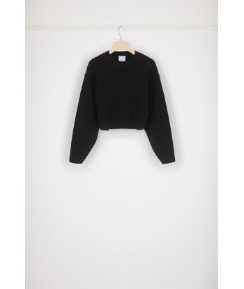 Cropped rib knit jumper in Merino wool Découvrez la collection