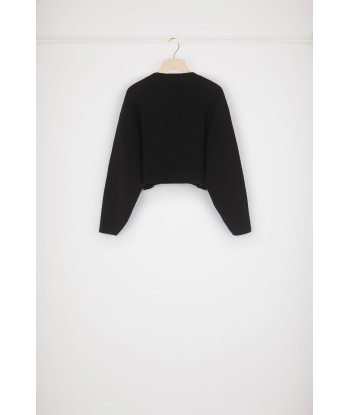 Cropped rib knit jumper in Merino wool Découvrez la collection