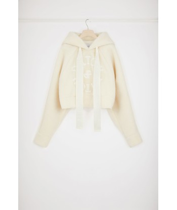 Faux shearling Medallion hoodie in recycled polyester Par le système avancé 