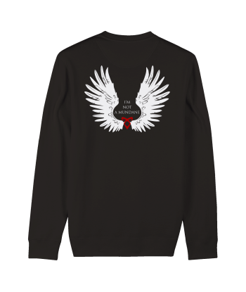 Sweat-shirt unisexe bio ANGEL - ETSW Comparez plus de prix