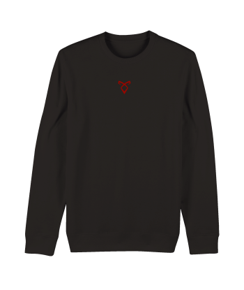 Sweat-shirt unisexe bio RUNES - ETSW pas cheres