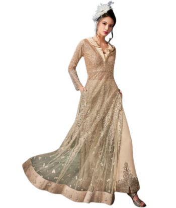 Robe majestueuse beige doré Ariel Vous souhaitez 