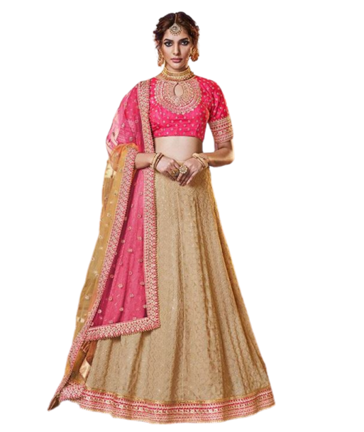 Magnifique Lehenga Beige Indivarini de votre