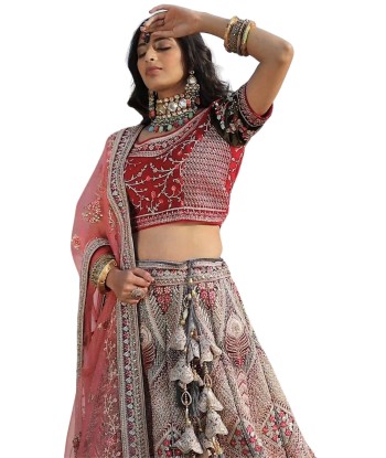 Lehenga mariée Kasika gris et rouge - 2 voiles votre restaurant rapide dans 