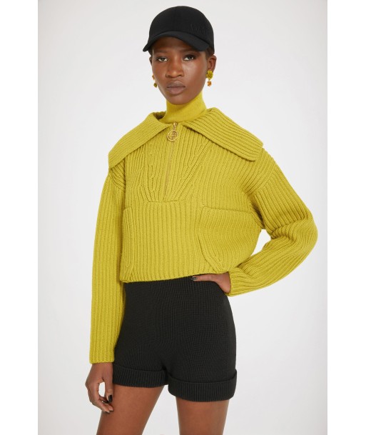 Zip-up collar rib knit jumper in Merino wool Dans la société mordern