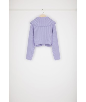 Zip-up collar rib knit jumper in Merino wool Dans la société mordern