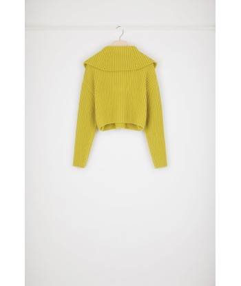 Zip-up collar rib knit jumper in Merino wool Dans la société mordern