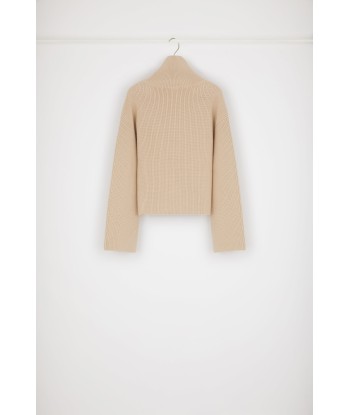 Rib knit turtleneck jumper in Merino wool les ctes